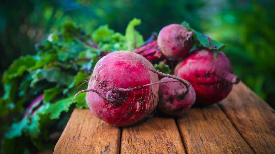 Just harvested Beet roots
