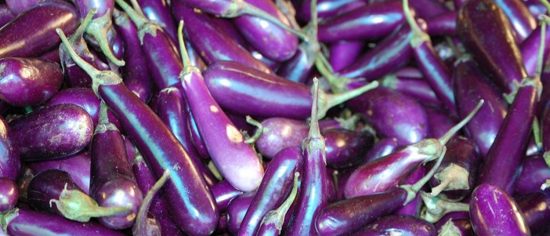 Lots of Chinese Eggplants