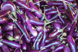 How To Grow Chinese Eggplant In Pots Or Containers