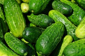 How to Grow Cucumbers in Pots or Containers