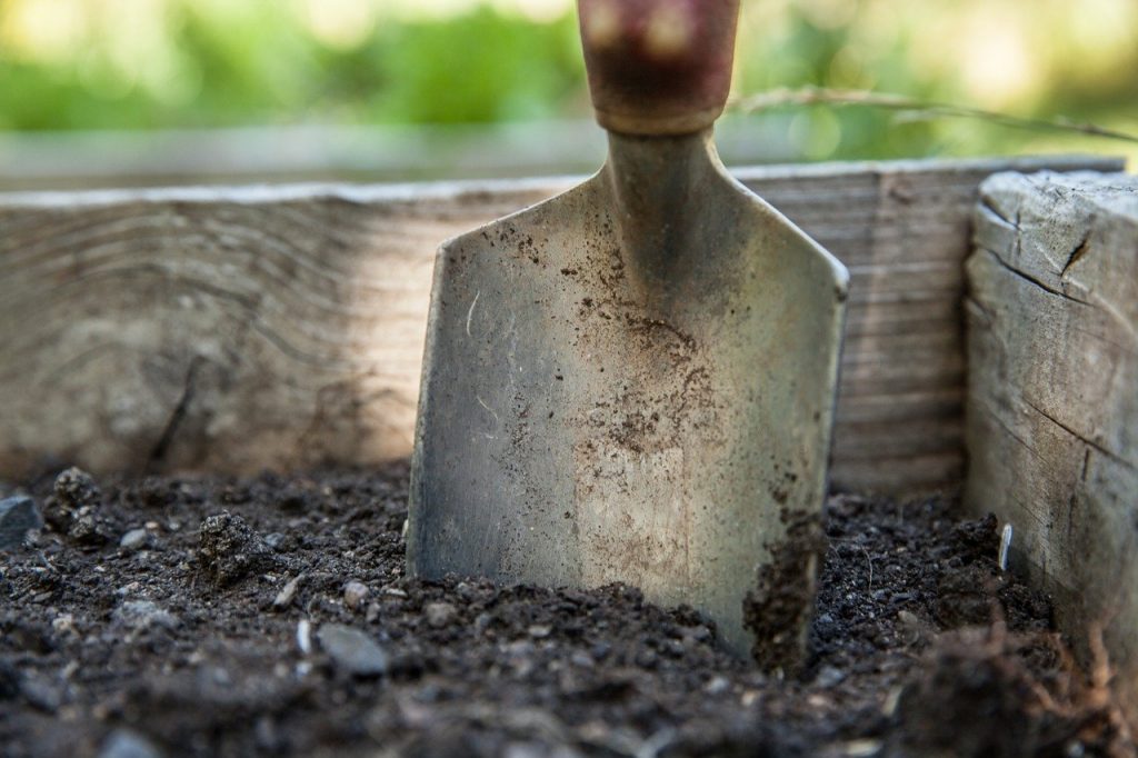 soil in a box with a small hand shovel