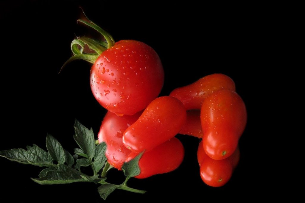 Sauce tomatoes with a normal tomatoe