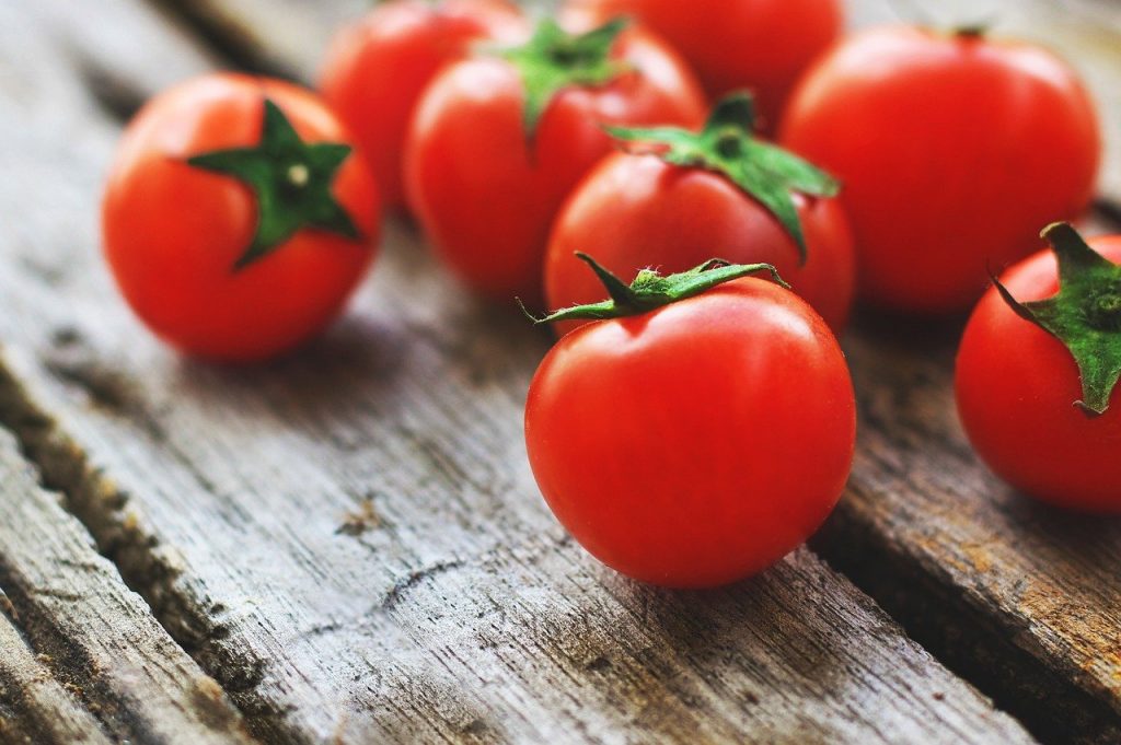 Growing a Defiant tomato in containers