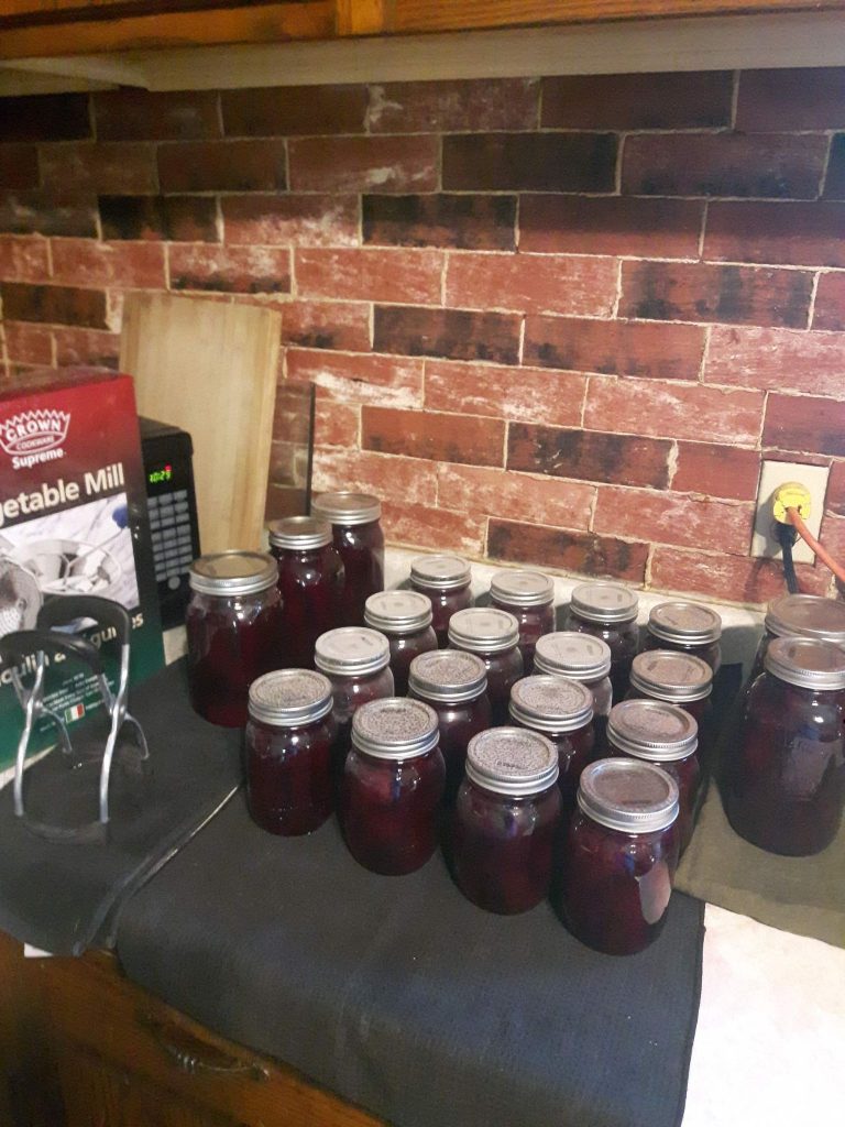 Jars of fresh beets canning finished 
