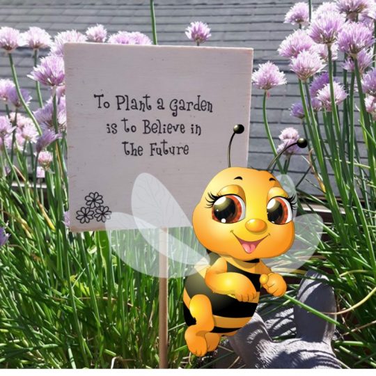 Bee with a sign in container garden says to plant a garden is to believe in the future