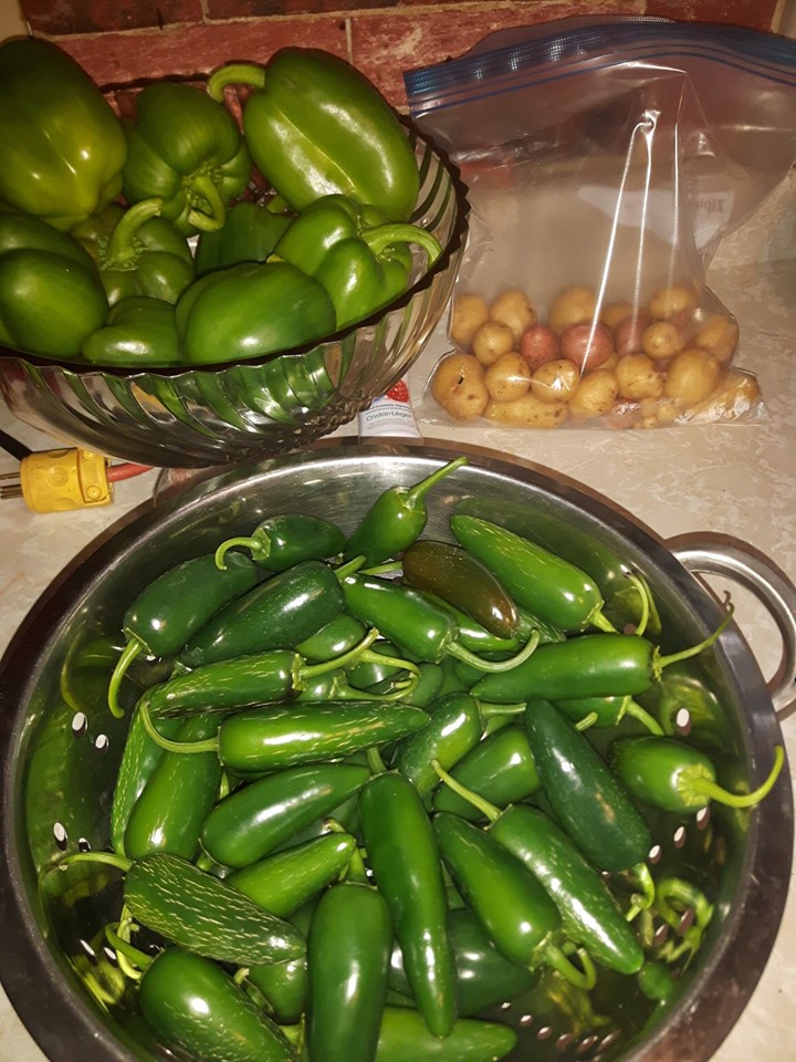 Jalapeno Peppers in a bowl 